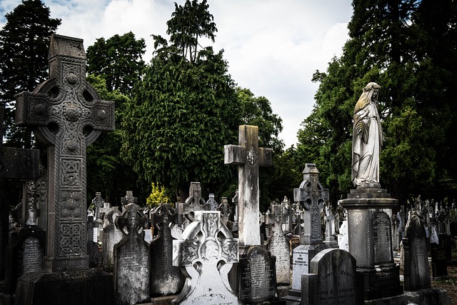 davis funeral home wilmington obituaries