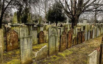 Cunningham and nelson obituaries