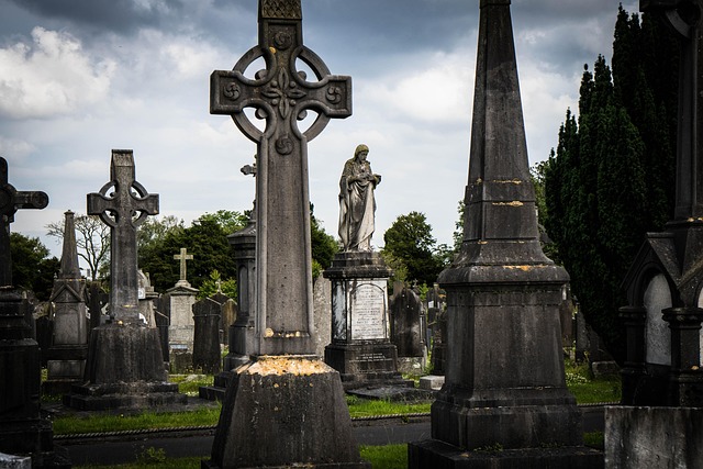 davis funeral home wilmington obituaries