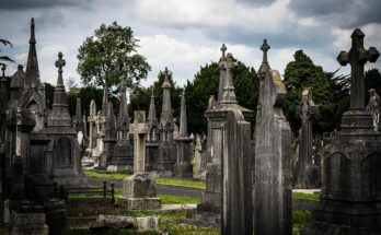 davis funeral home wilmington obituaries