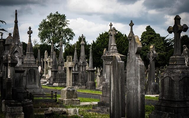 davis funeral home wilmington obituaries