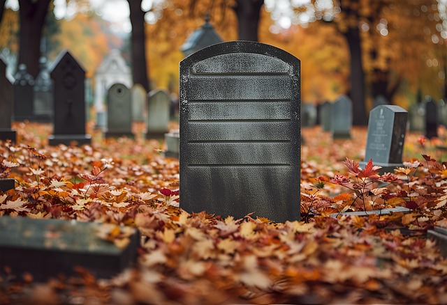 saunders-dwyer obituaries