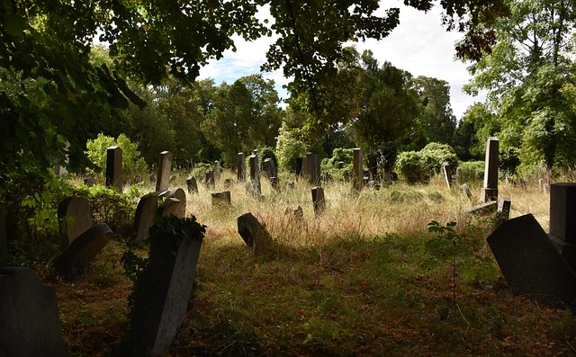 saunders-dwyer obituaries