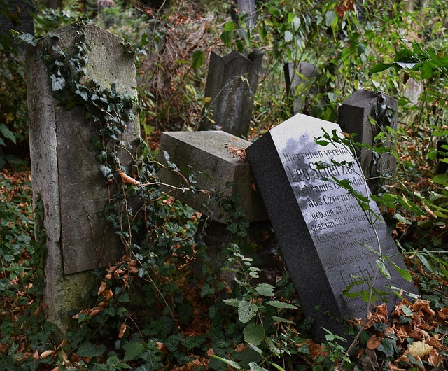 saunders-dwyer obituaries