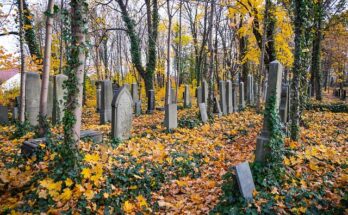 tracy jenkins franklinton la obituary